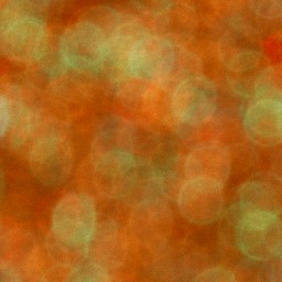 Bokeh-489